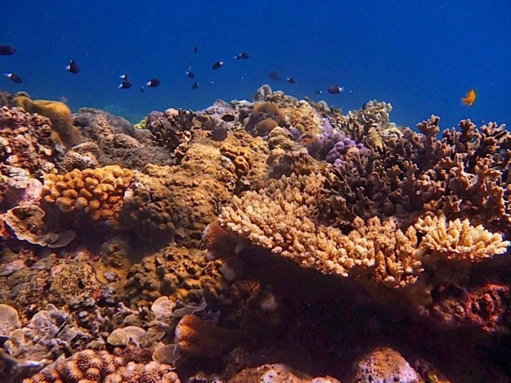 Agung Bali Nirwana Villas&Spa Tejakula Luaran gambar